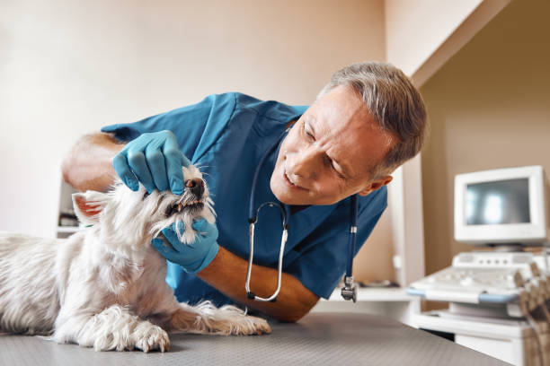 Best Emergency Tooth Extraction in Fanwood, NJ